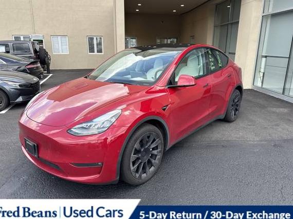 TESLA MODEL Y 2021 5YJYGDEE3MF298643 image